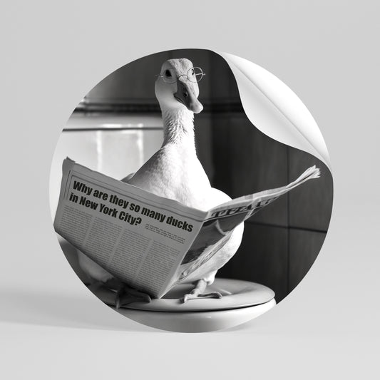 DUCKS IN THE CITY Vinilo adhesivo redondo