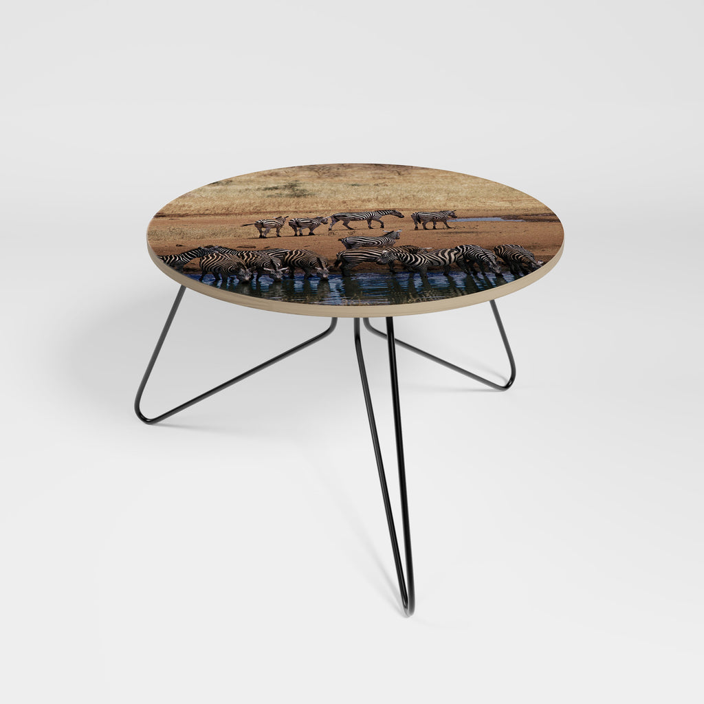 THE ZEBRA HARMONY Coffee Table 60