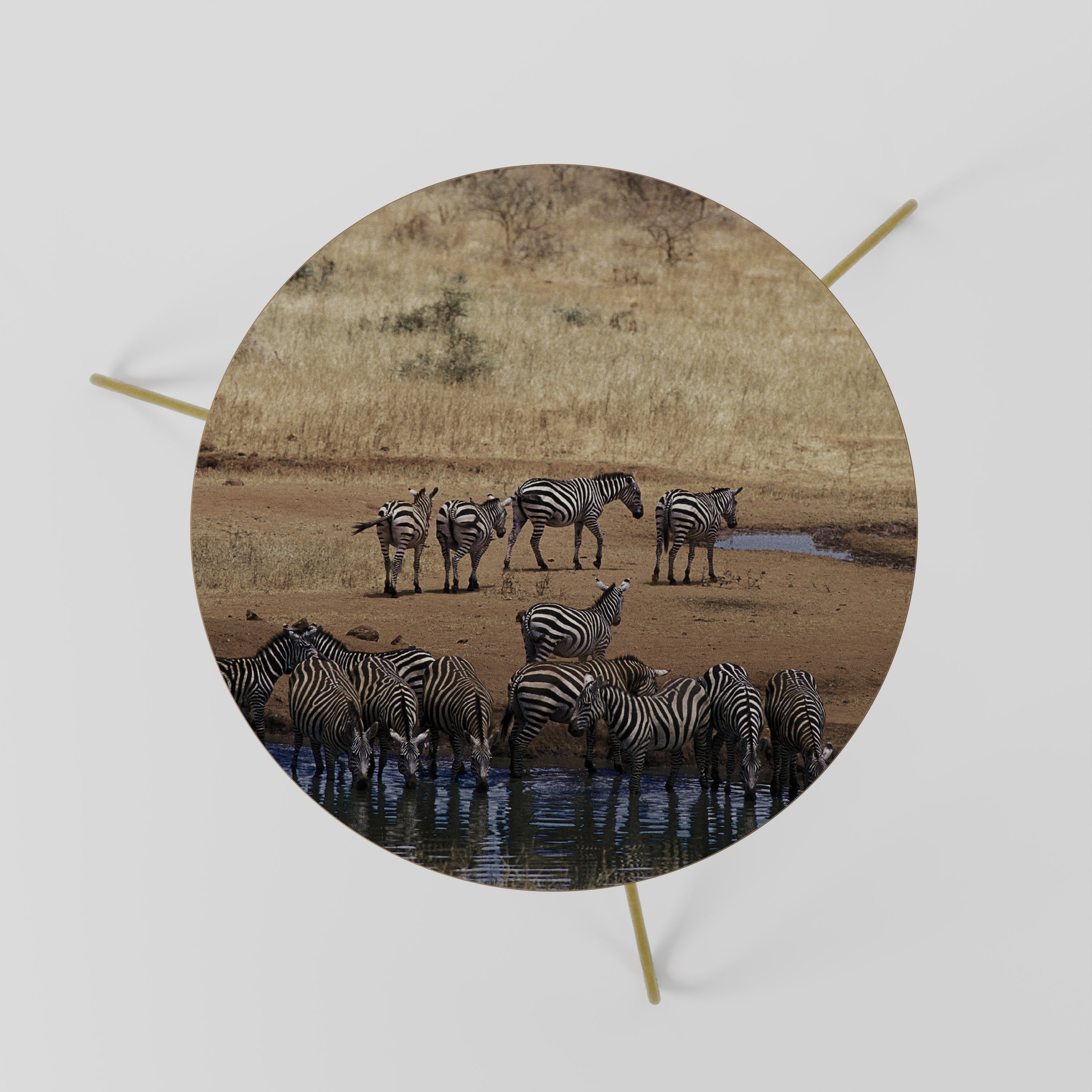 THE ZEBRA HARMONY Coffee Table 60