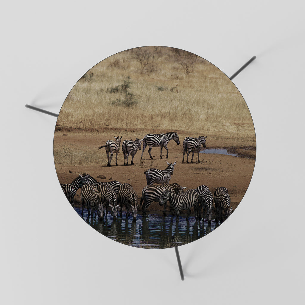 THE ZEBRA HARMONY Coffee Table 60