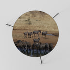 THE ZEBRA HARMONY Coffee Table 60