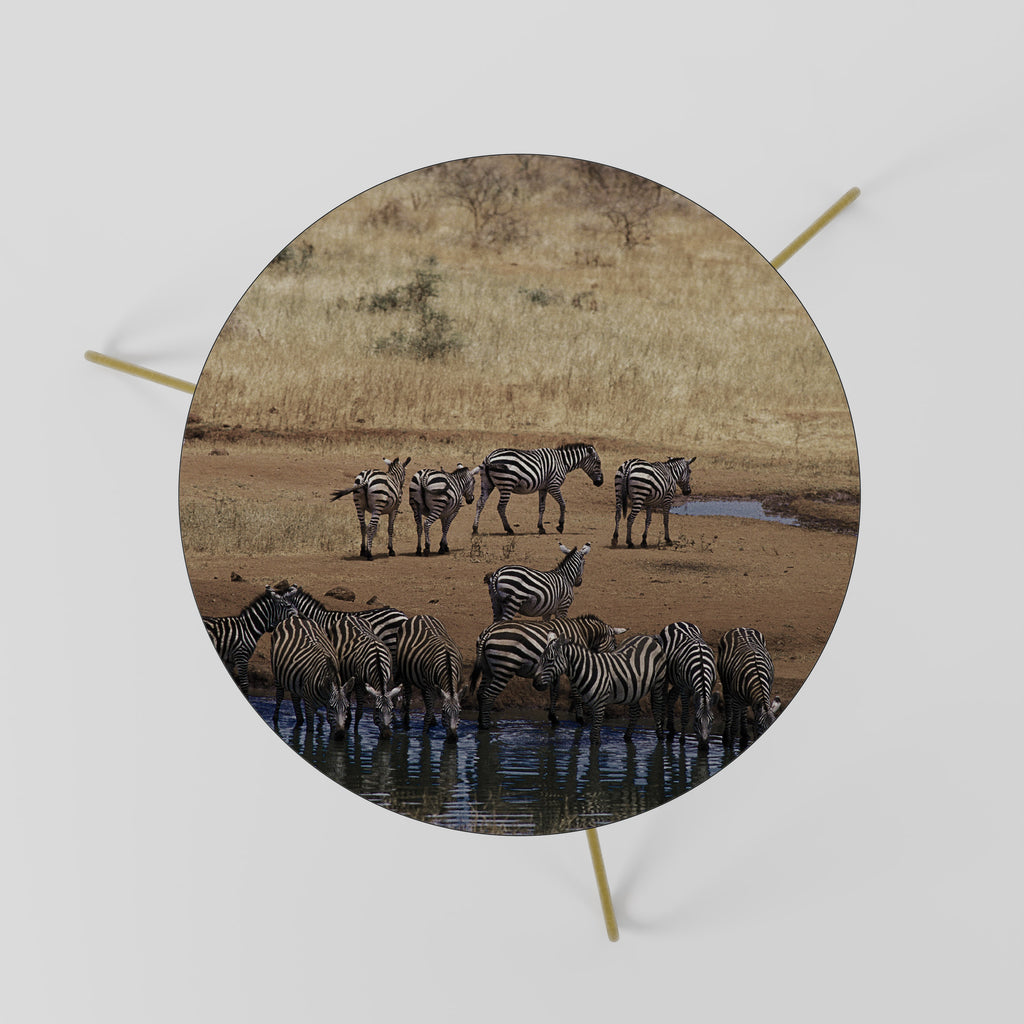 THE ZEBRA HARMONY Coffee Table 60