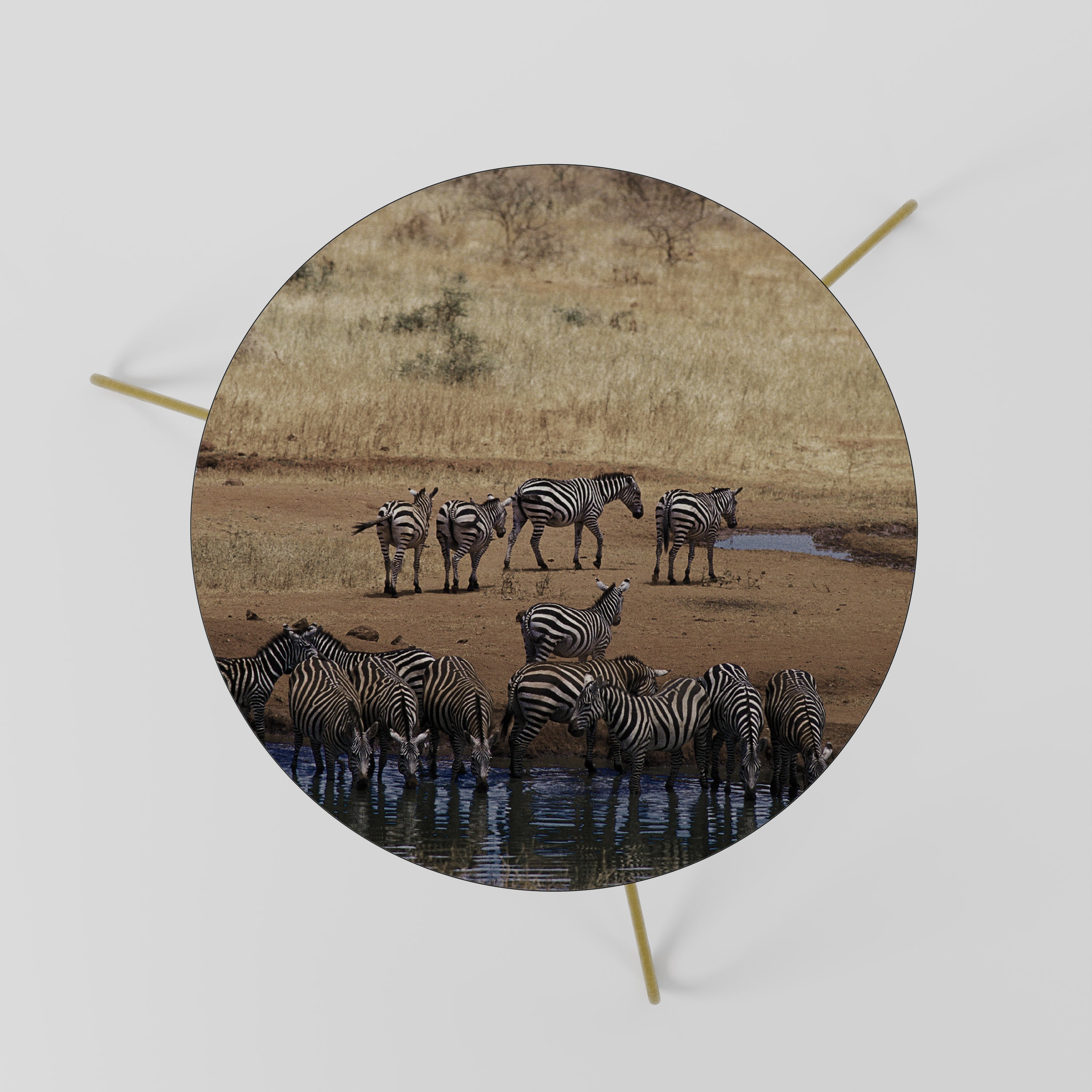 THE ZEBRA HARMONY Coffee Table 60