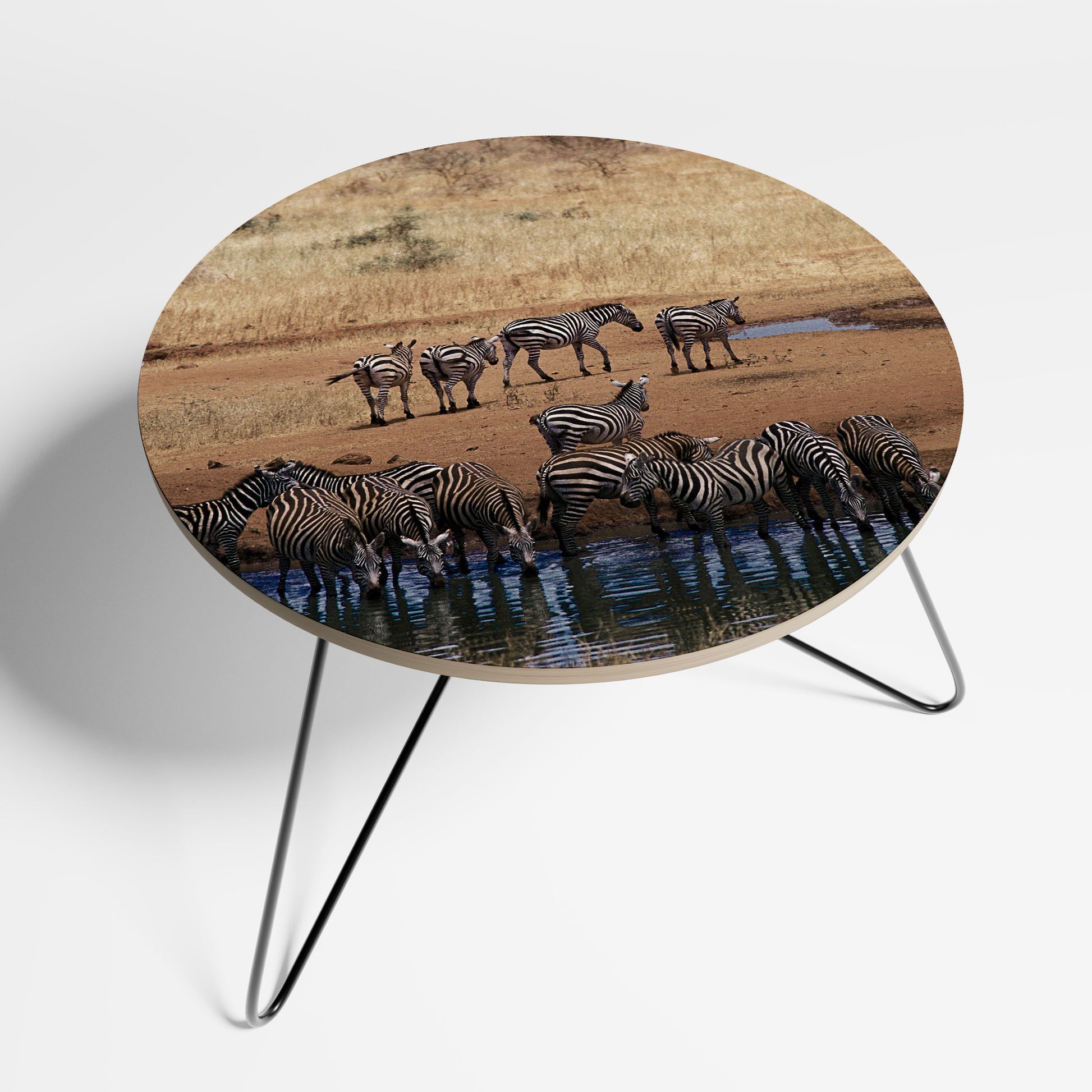 THE ZEBRA HARMONY Coffee Table 69