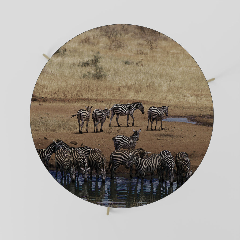 THE ZEBRA HARMONY Coffee Table 69