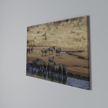 THE ZEBRA HARMONY Cuadro en lienzo horizontal