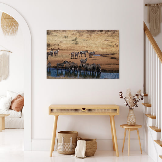 THE ZEBRA HARMONY Cuadro en lienzo horizontal