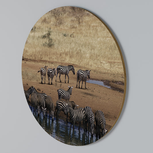 THE ZEBRA HARMONY Arte de pared redondo