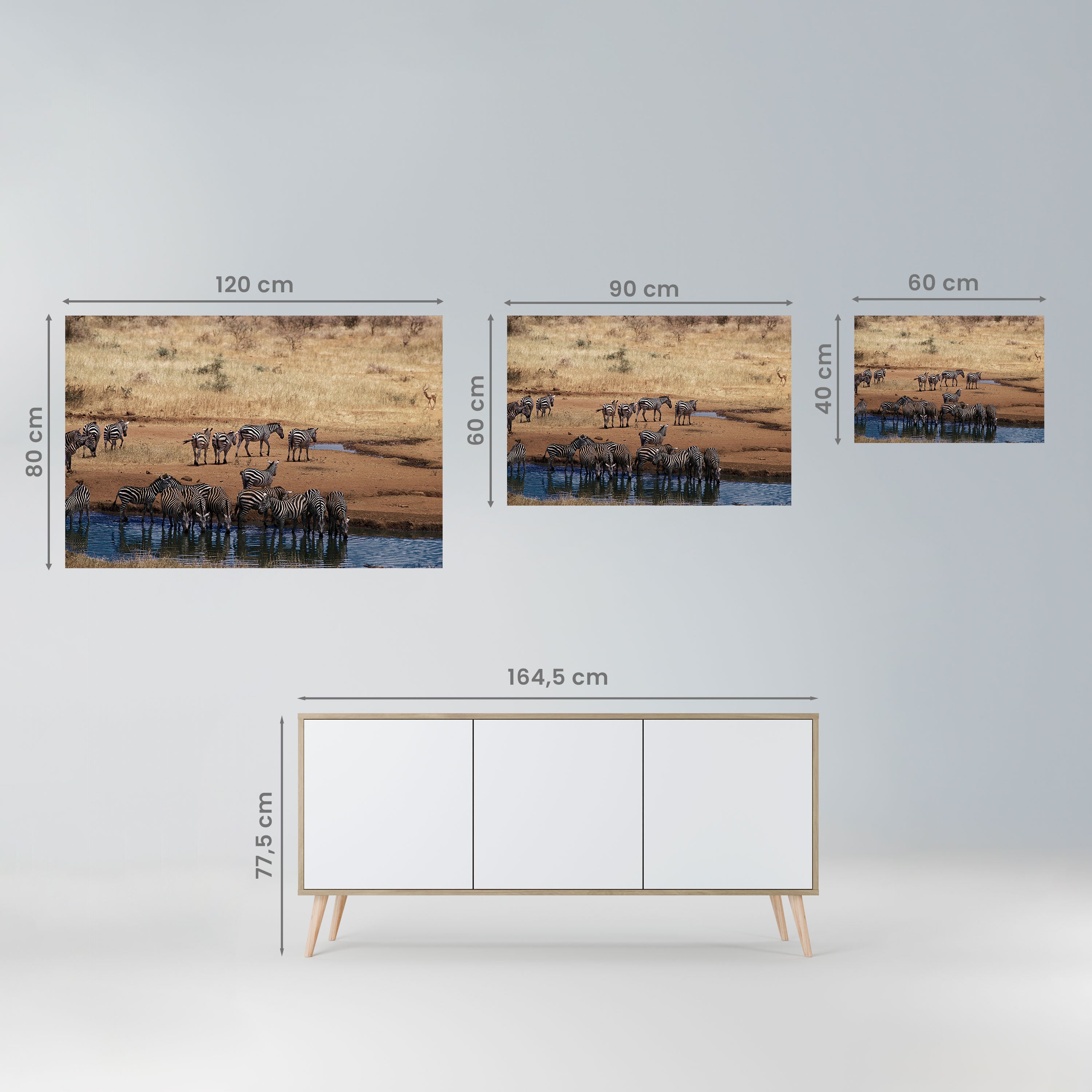 THE ZEBRA HARMONY Peel and Stick Horizontal Poster