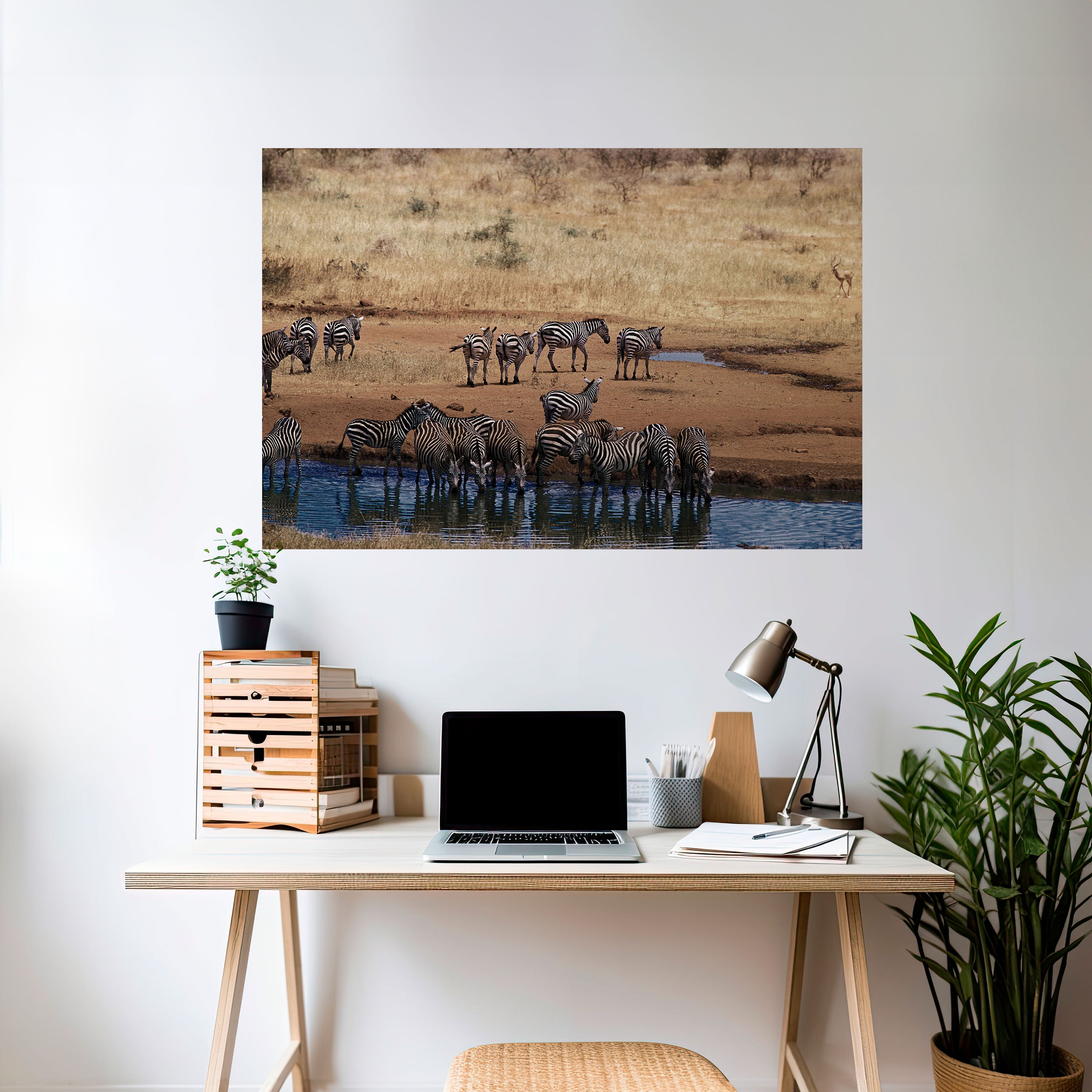 THE ZEBRA HARMONY Peel and Stick Horizontal Poster