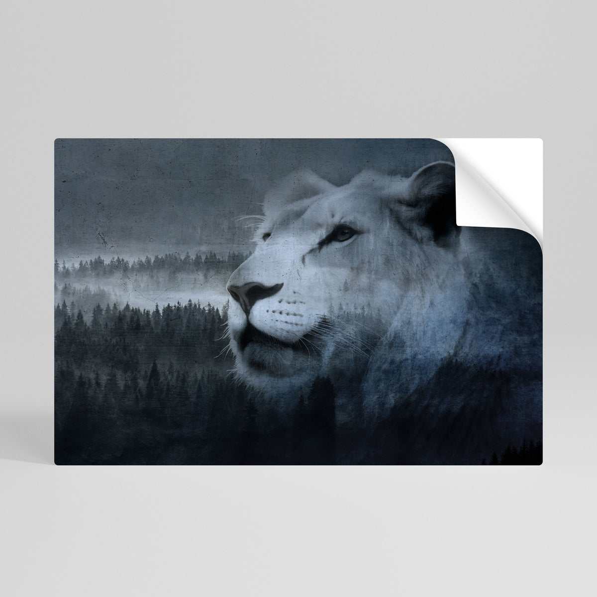 LION'S HARMONY IN BLUE Póster adhesivo horizontal