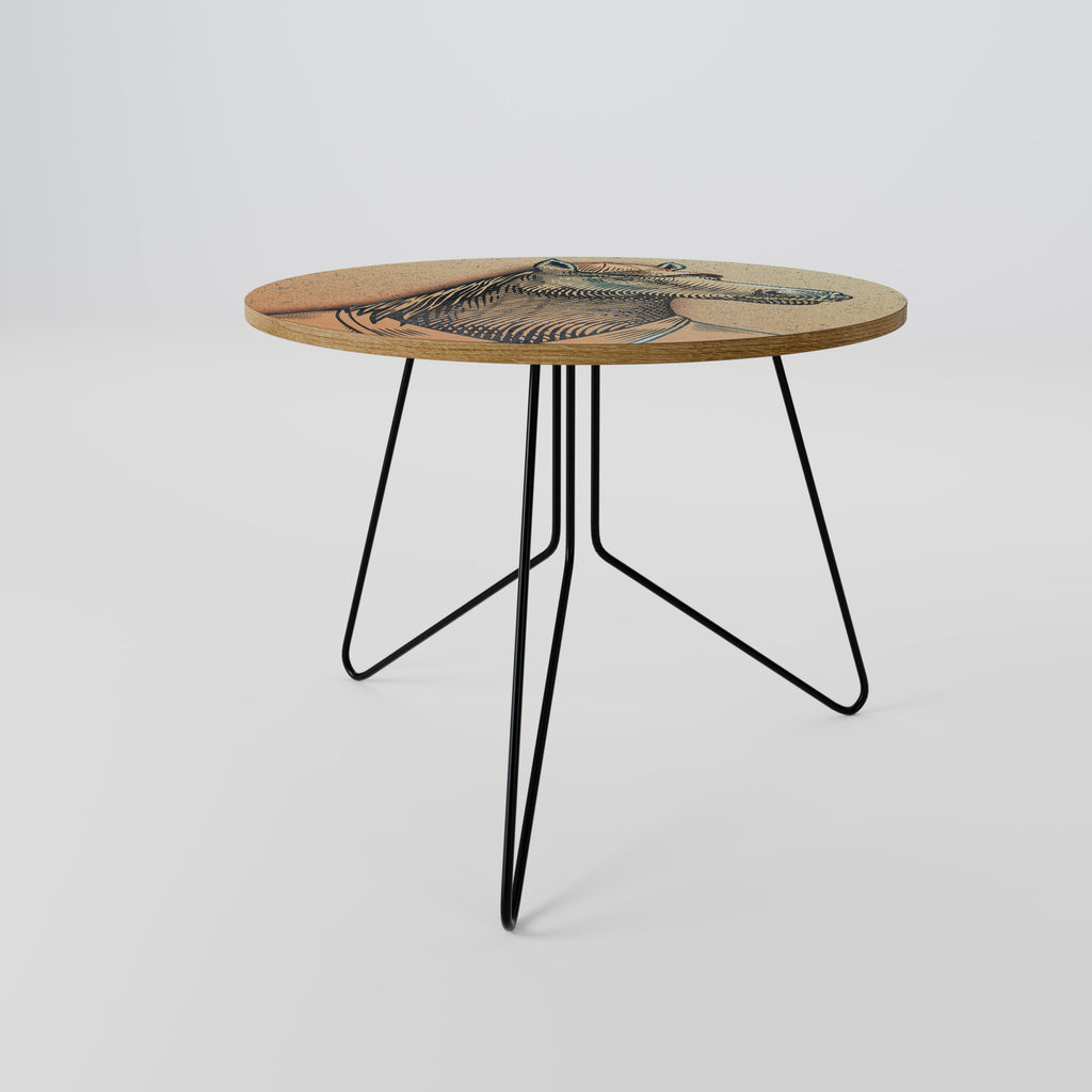 EQUINE SWAGGER Coffee Table 69