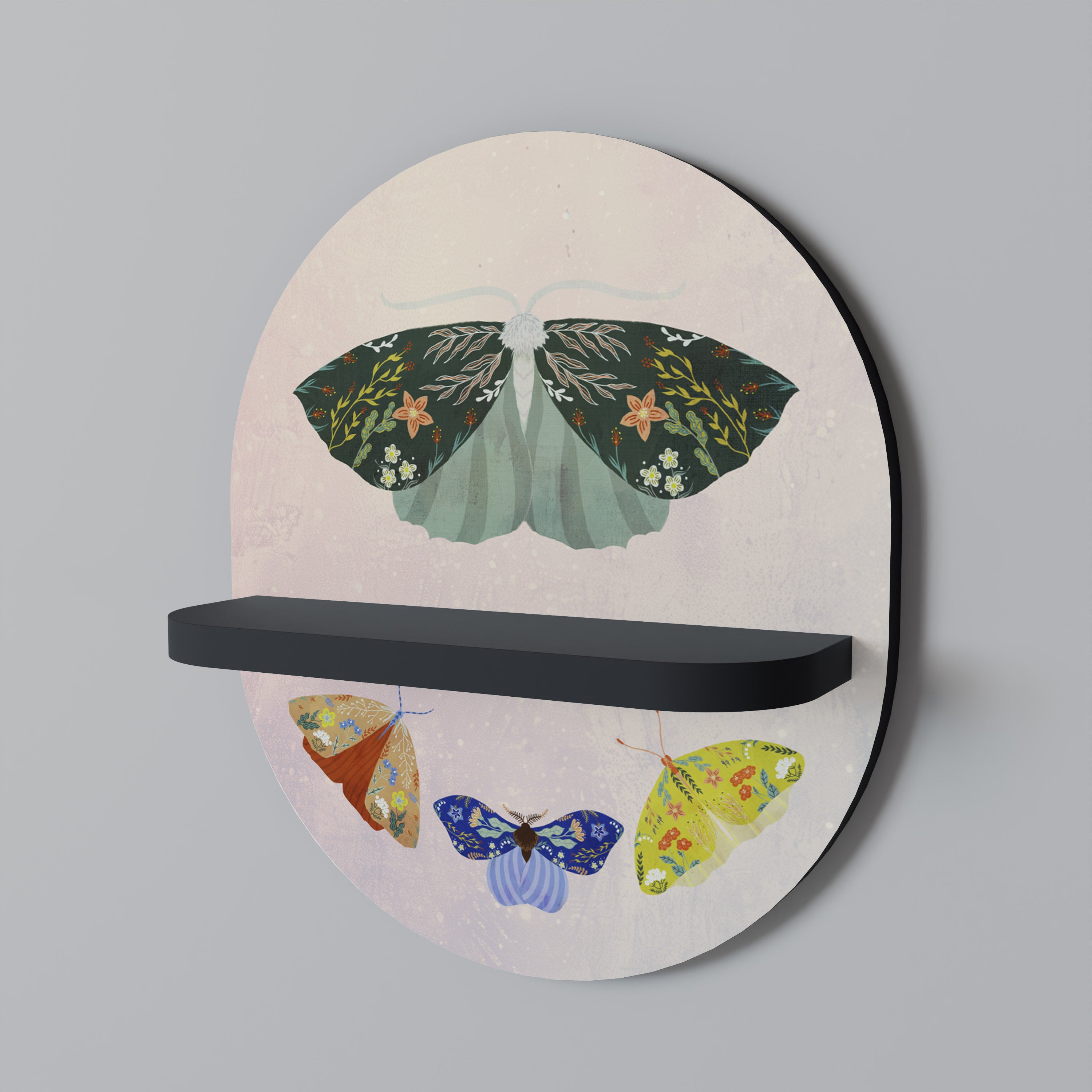MOTH INTO THE LIGHT Oval Art Shelf In Black Finish