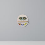 MOTH INTO THE LIGHT Estante Artístico