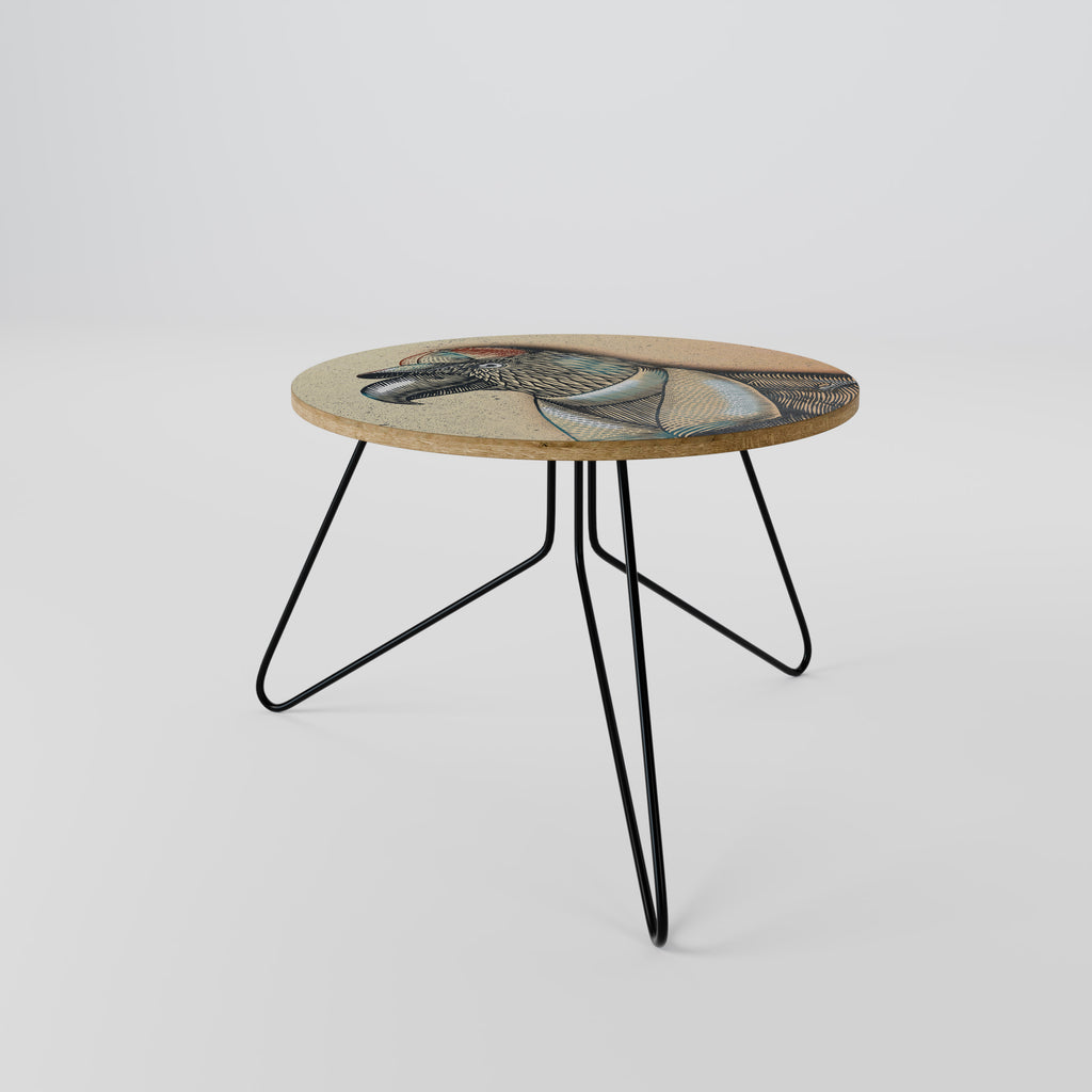 FEATHERED FASHIONISTA Coffee Table 60