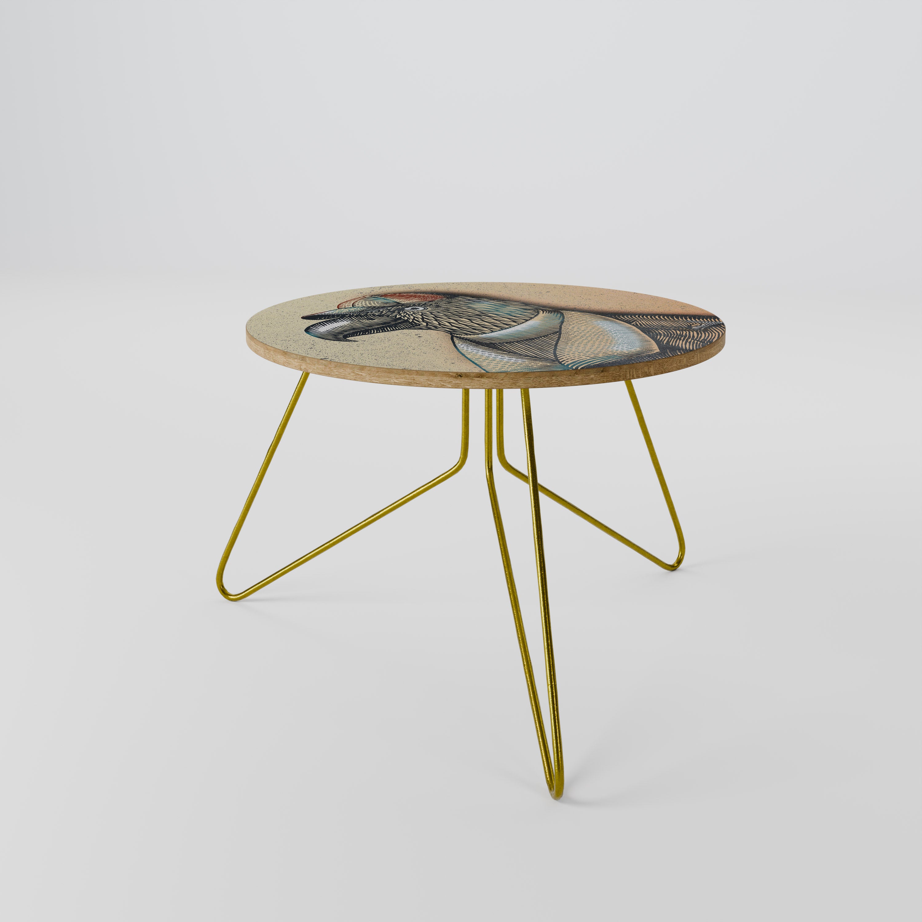FEATHERED FASHIONISTA Coffee Table 60