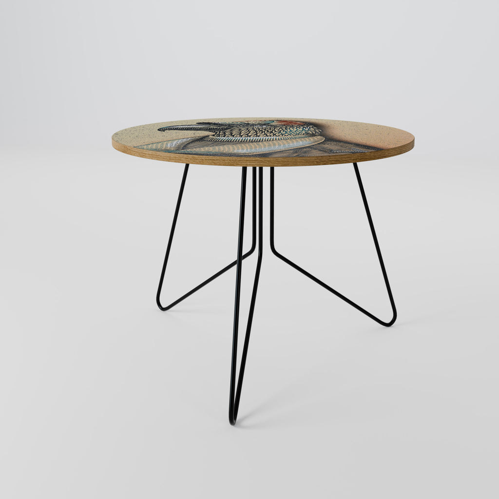 FEATHERED FASHIONISTA Coffee Table 69