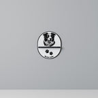 BORDER COLLIE Estante Artístico