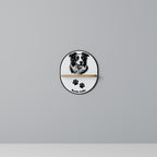 BORDER COLLIE Estante Artístico