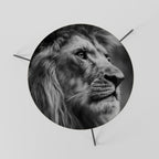 ROYAL REFLECTION Mesa de Centro Ø60