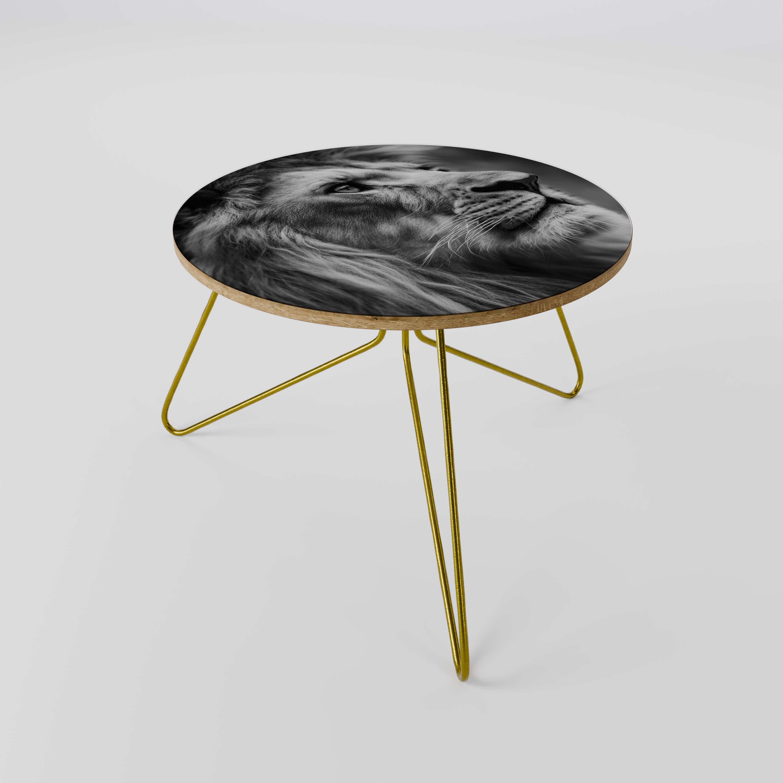 ROYAL REFLECTION Coffee Table 60