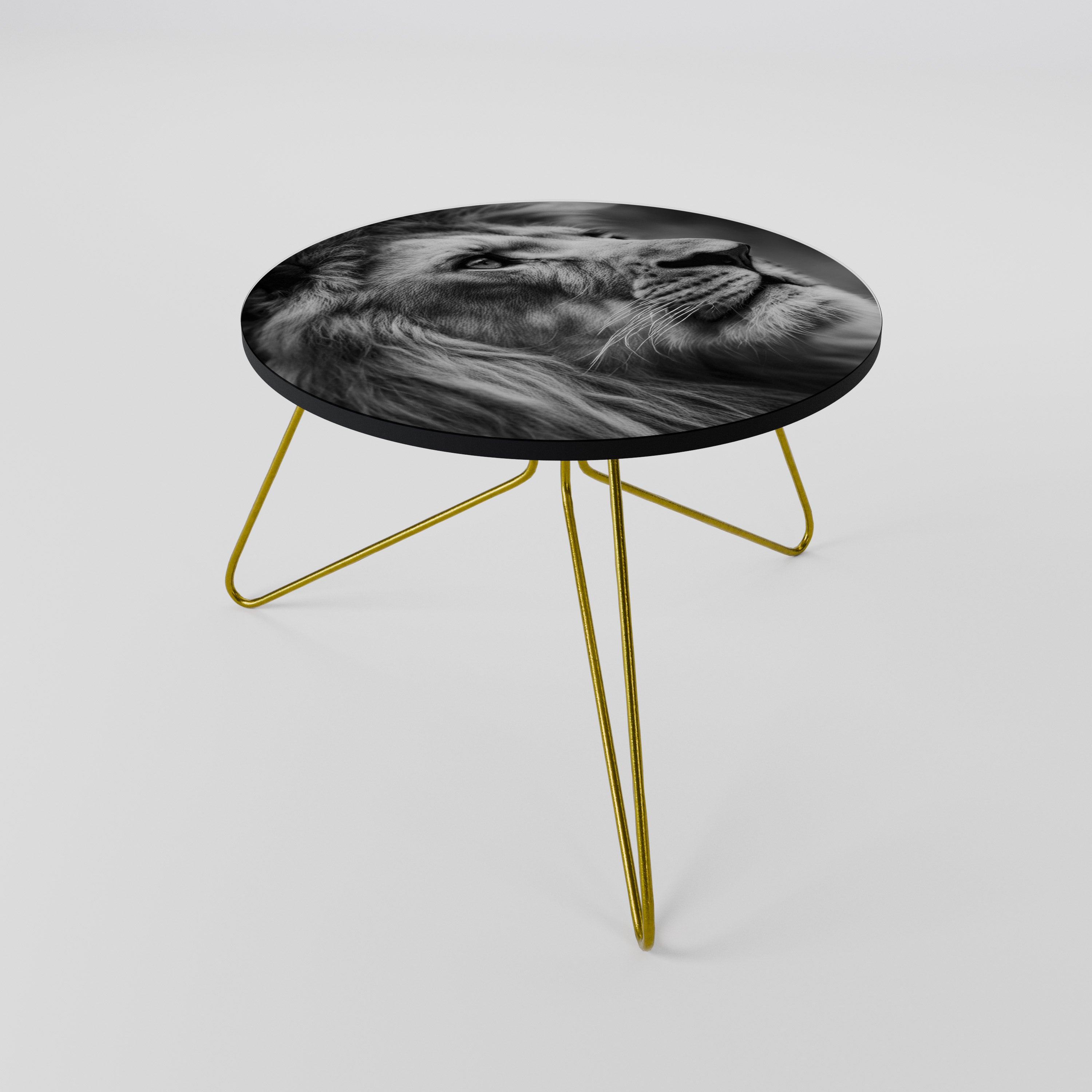 ROYAL REFLECTION Coffee Table 60