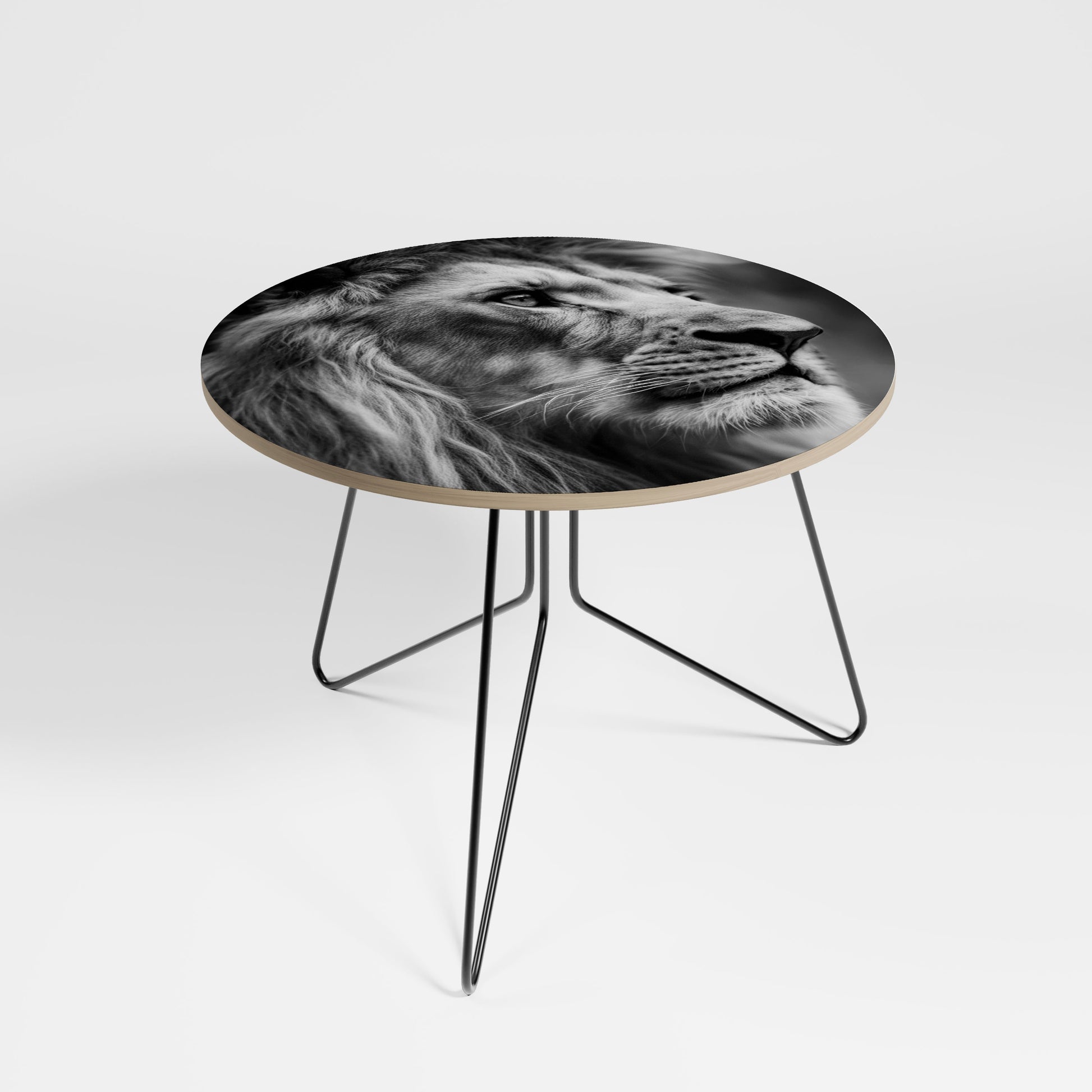 ROYAL REFLECTION Coffee Table 69
