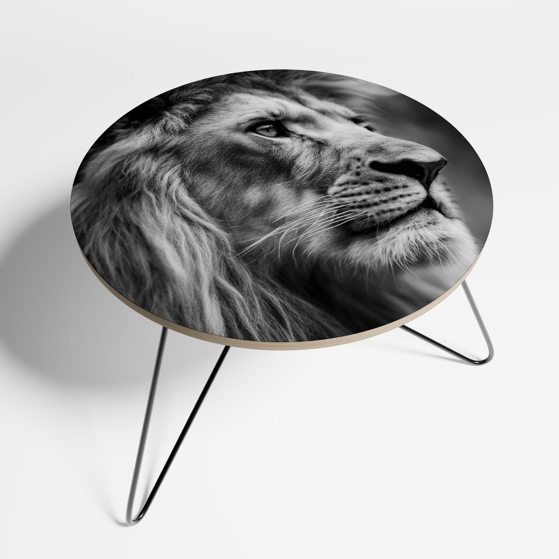 ROYAL REFLECTION Coffee Table 69