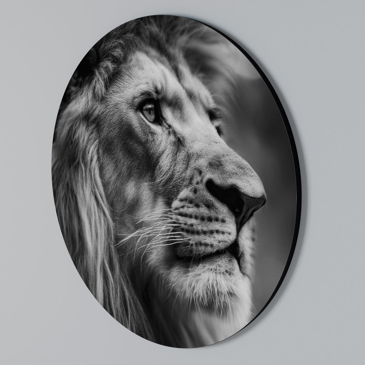 ROYAL REFLECTION Arte de pared redondo