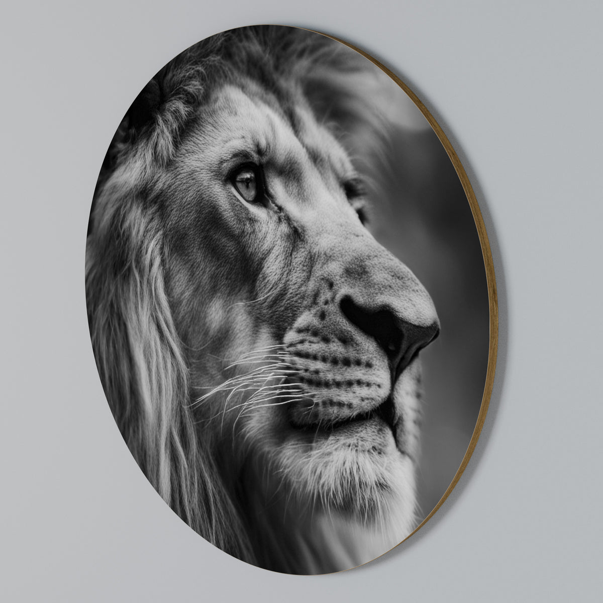 ROYAL REFLECTION Arte de pared redondo