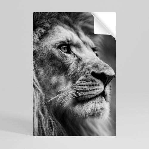 ROYAL REFLECTION Póster adhesivo vertical